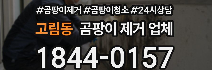 고림동 곰팡이 제거 업체