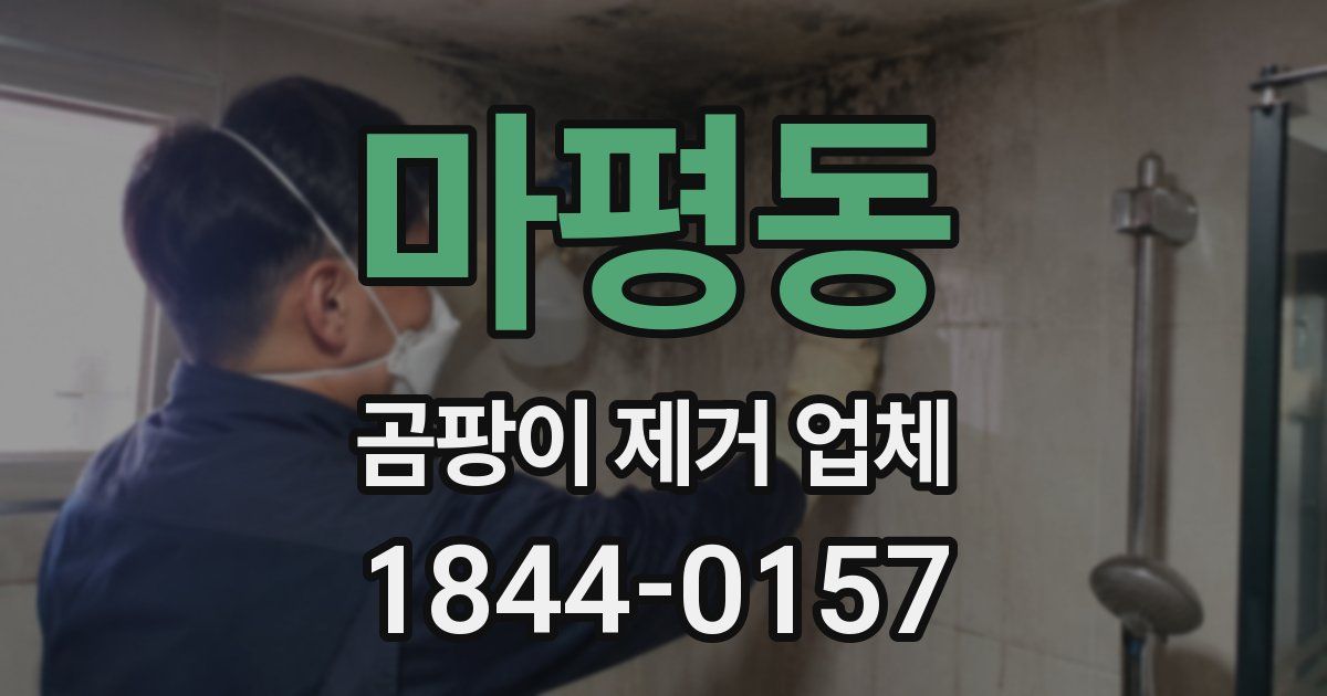 마평동 곰팡이 제거 업체