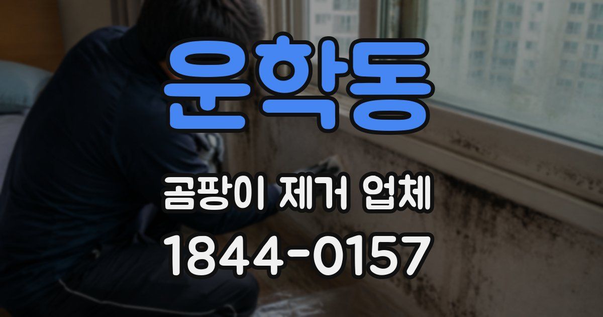 운학동 곰팡이 제거 업체