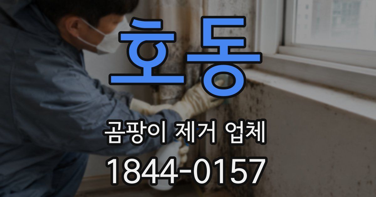 호동 곰팡이 제거 업체