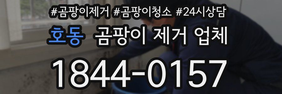 호동 곰팡이 제거 업체