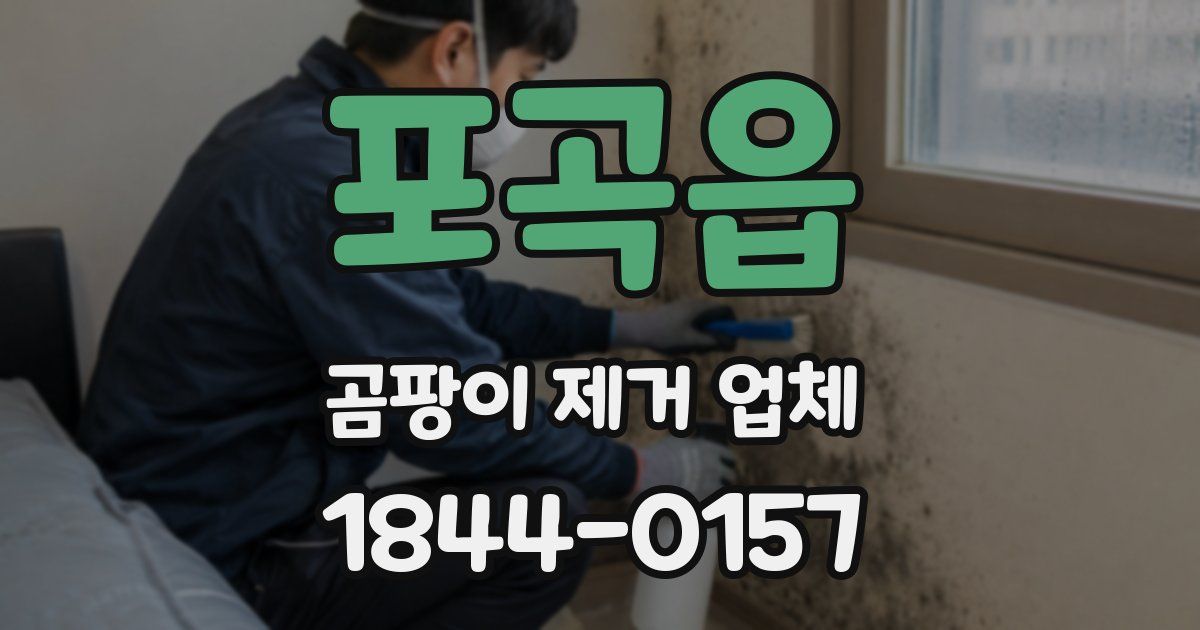 포곡읍 곰팡이 제거 업체