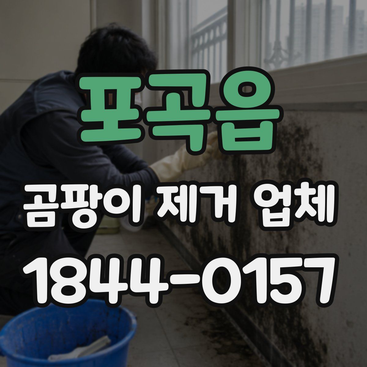 포곡읍 곰팡이 제거 업체