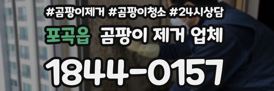 포곡읍 곰팡이 제거 업체