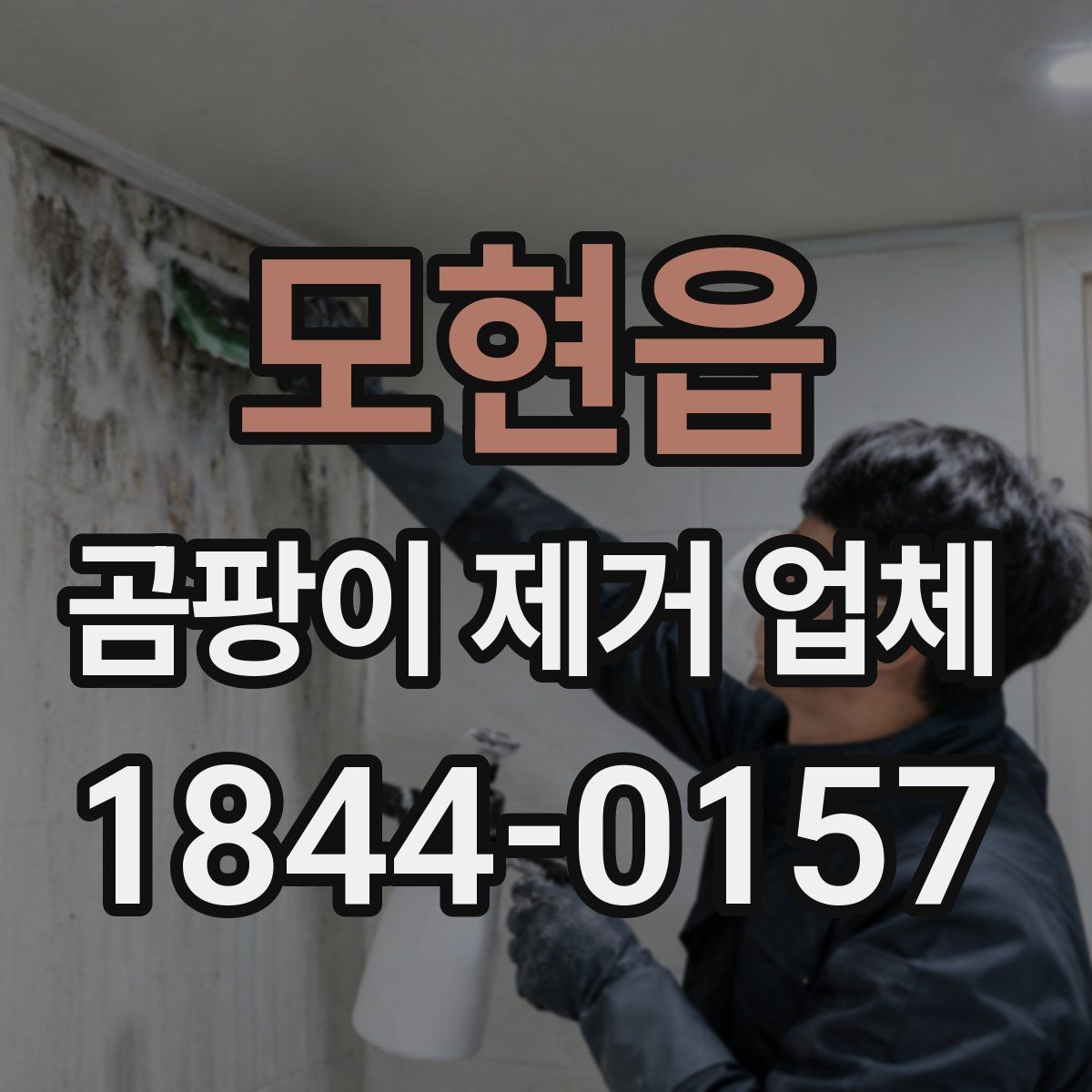 모현읍 곰팡이 제거 업체