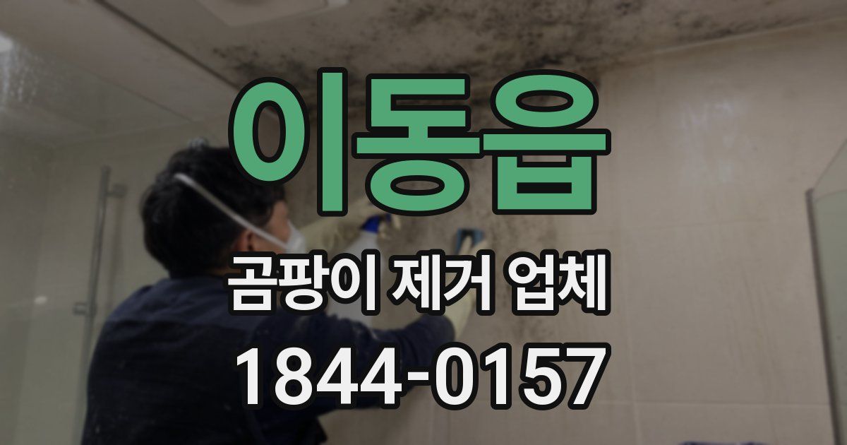 이동읍 곰팡이 제거 업체