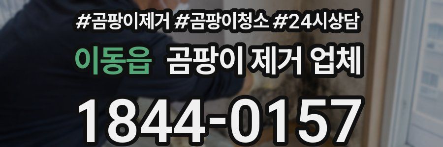 이동읍 곰팡이 제거 업체