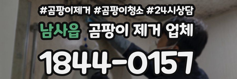 남사읍 곰팡이 제거 업체