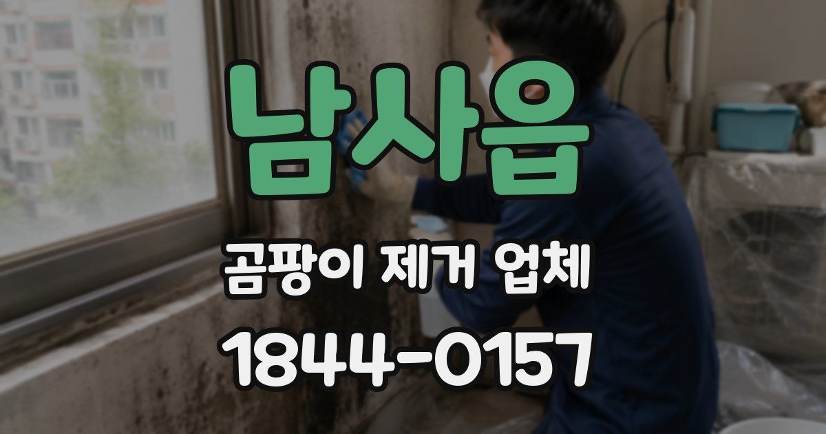 남사읍 곰팡이 제거 업체
