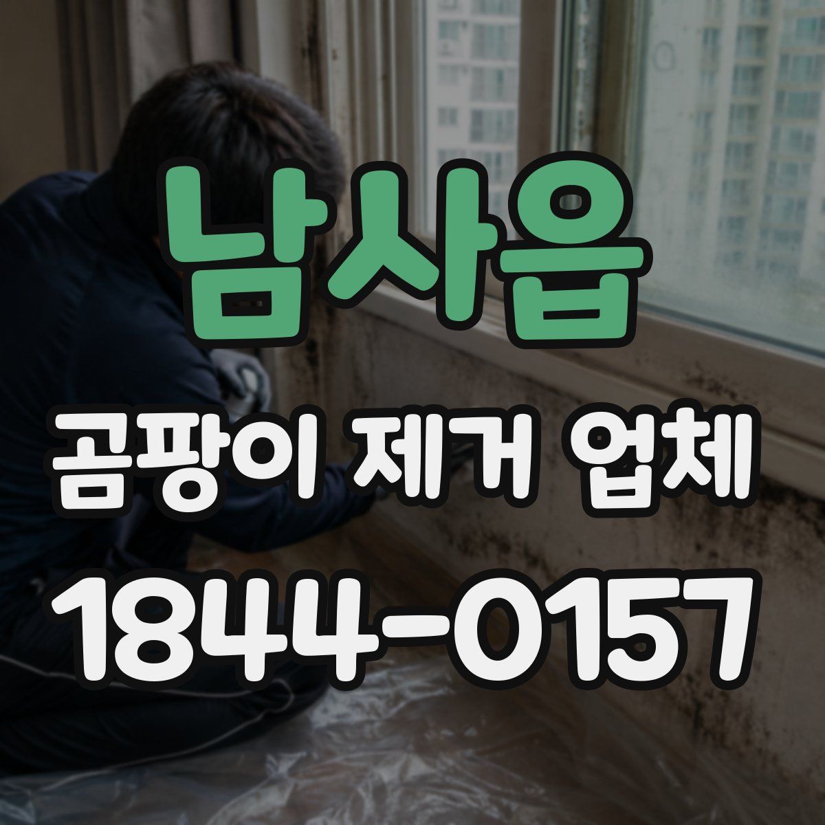남사읍 곰팡이 제거 업체
