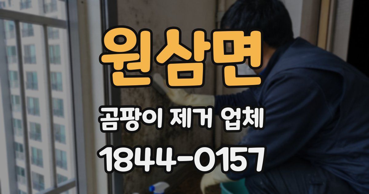 원삼면 곰팡이 제거 업체