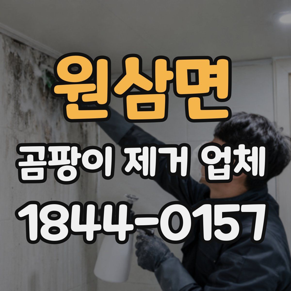 원삼면 곰팡이 제거 업체