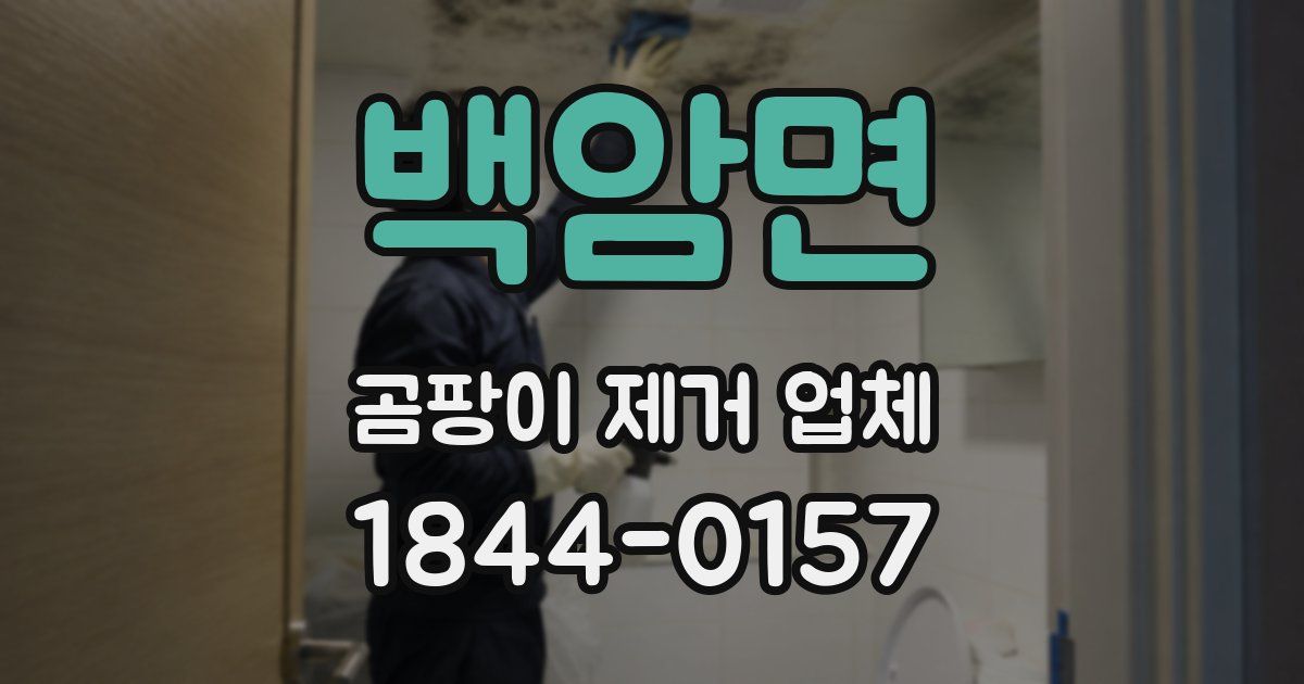 백암면 곰팡이 제거 업체