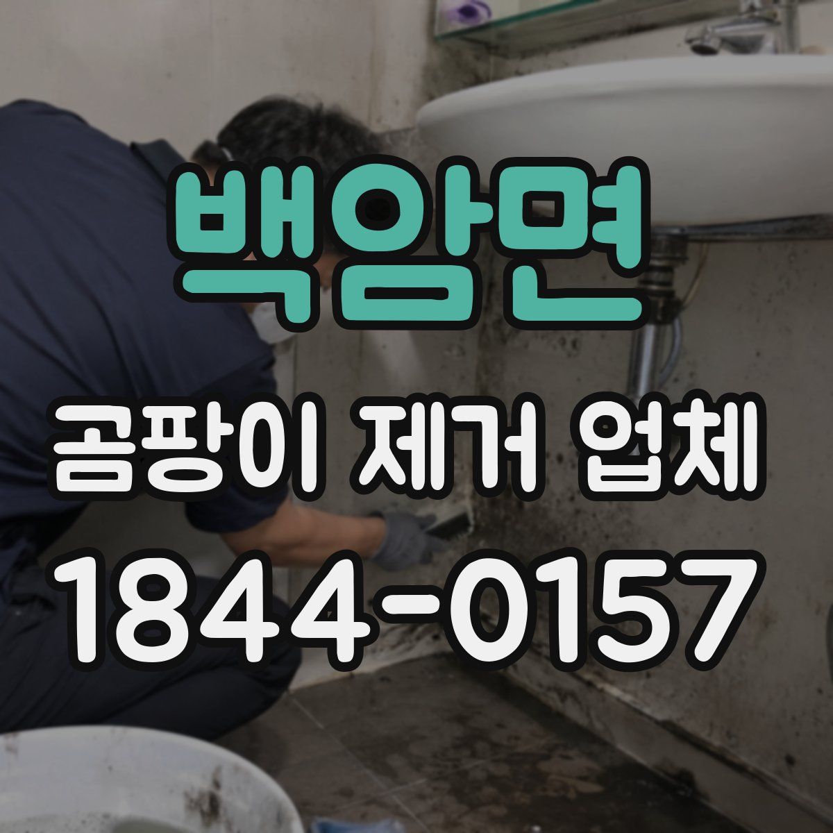 백암면 곰팡이 제거 업체