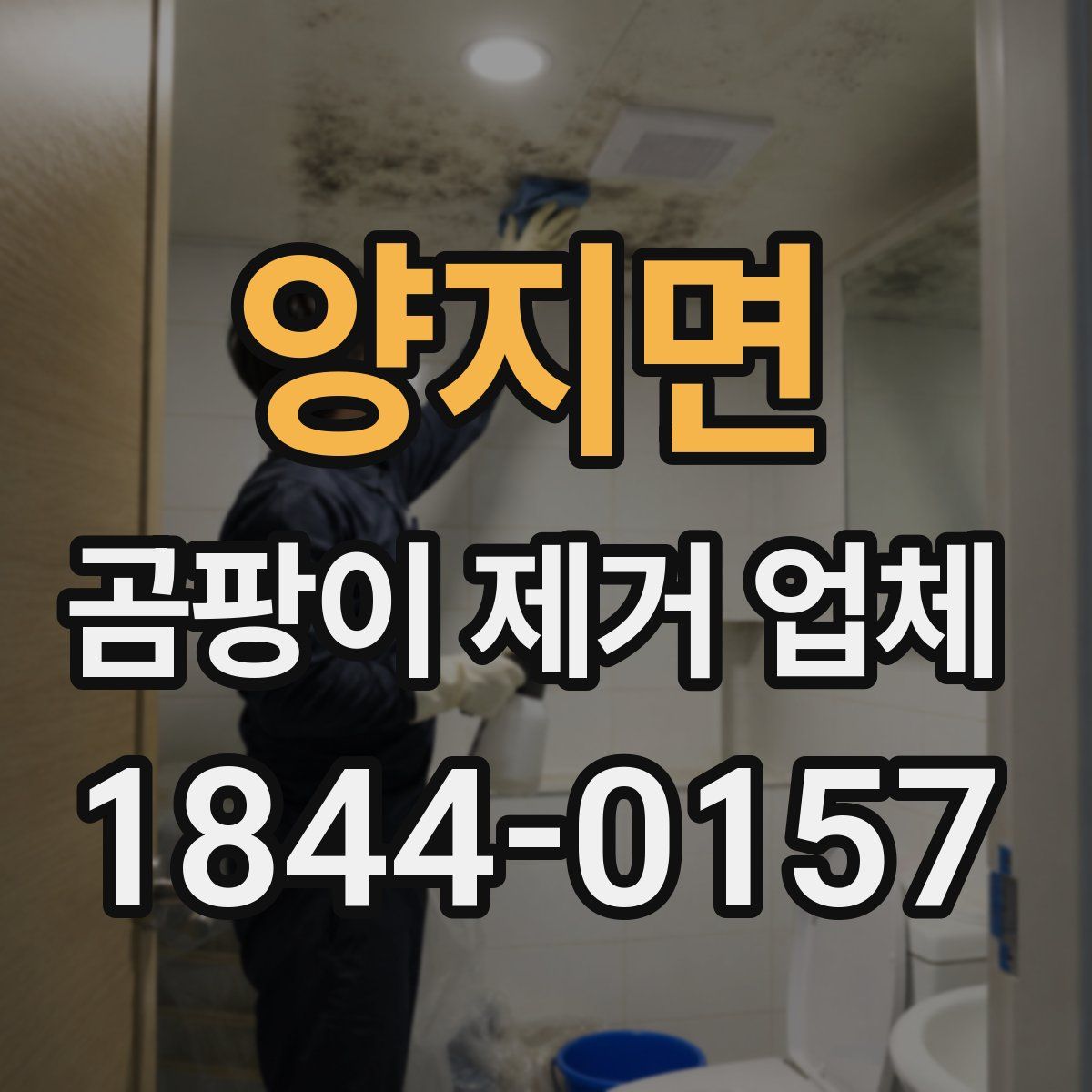 양지면 곰팡이 제거 업체