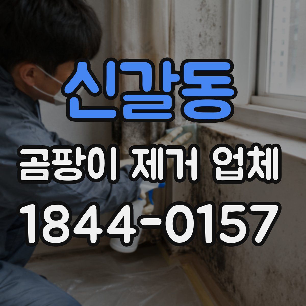 신갈동 곰팡이 제거 업체