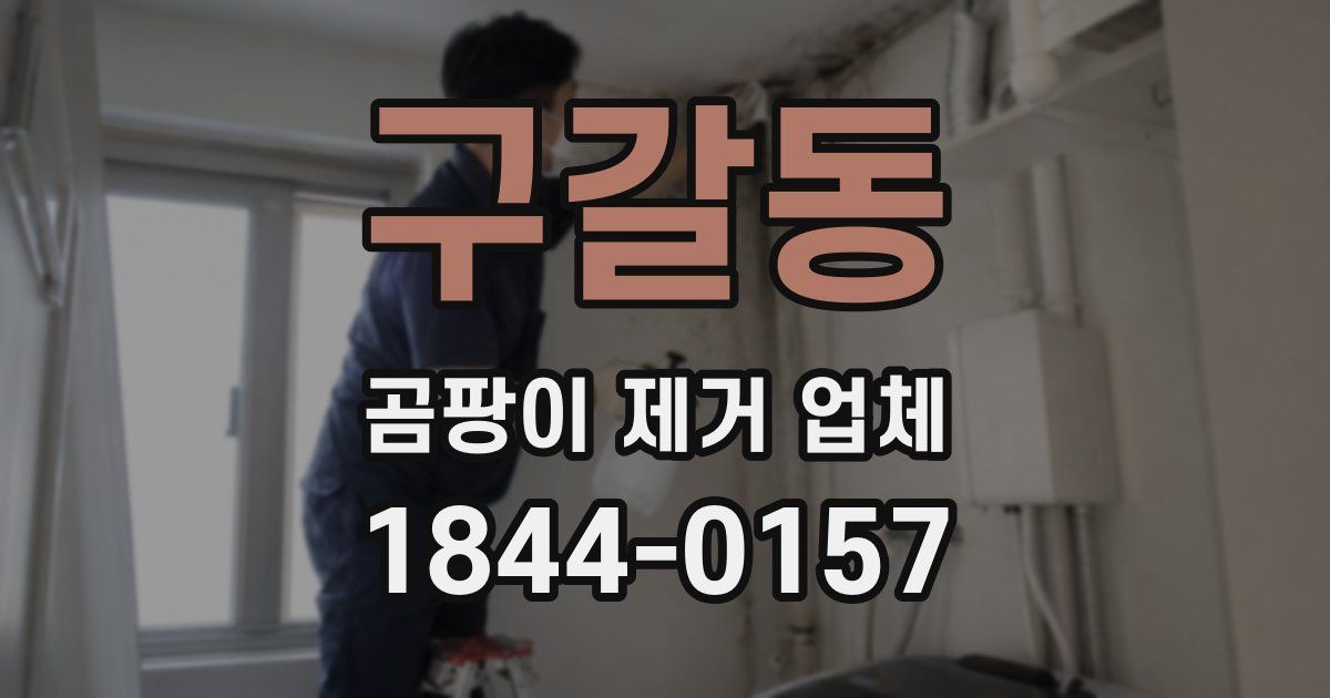 구갈동 곰팡이 제거 업체