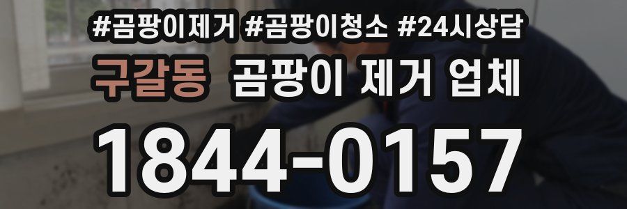 구갈동 곰팡이 제거 업체