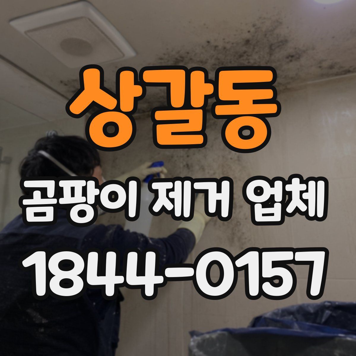 상갈동 곰팡이 제거 업체