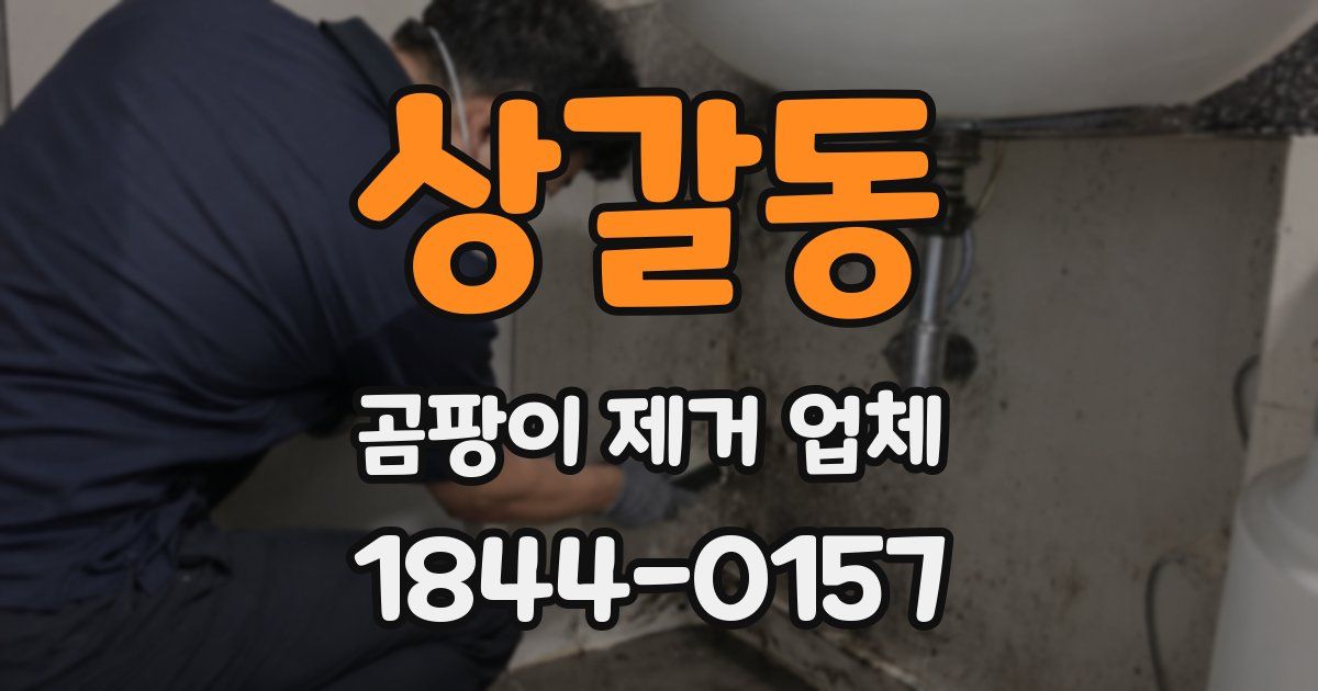 상갈동 곰팡이 제거 업체
