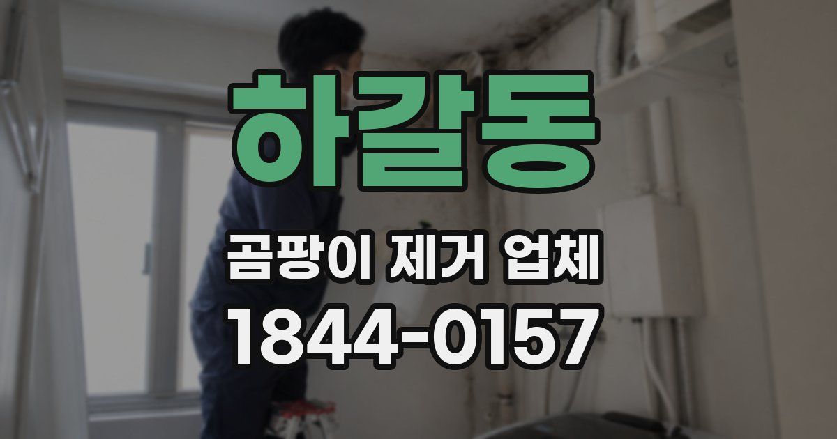하갈동 곰팡이 제거 업체