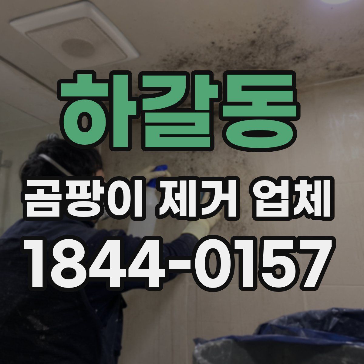 하갈동 곰팡이 제거 업체