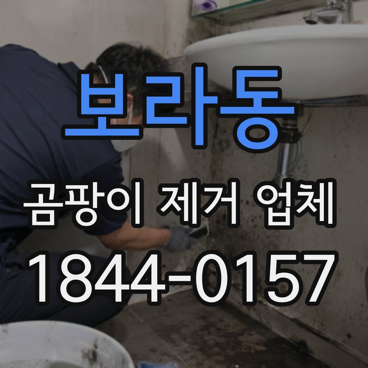 보라동 곰팡이 제거 업체