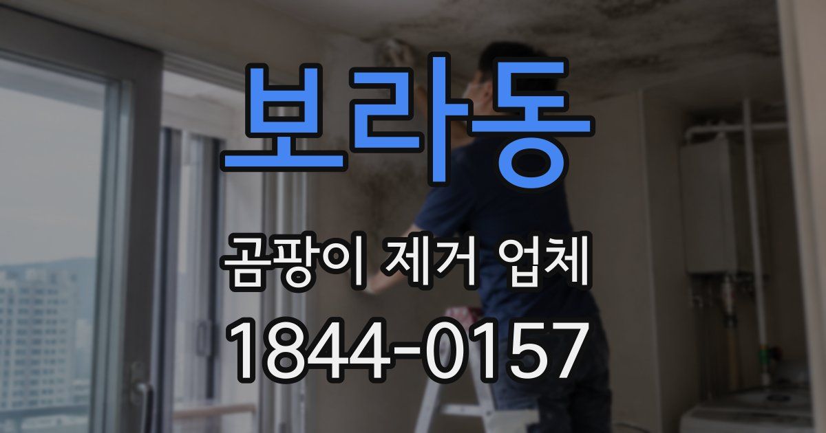 보라동 곰팡이 제거 업체