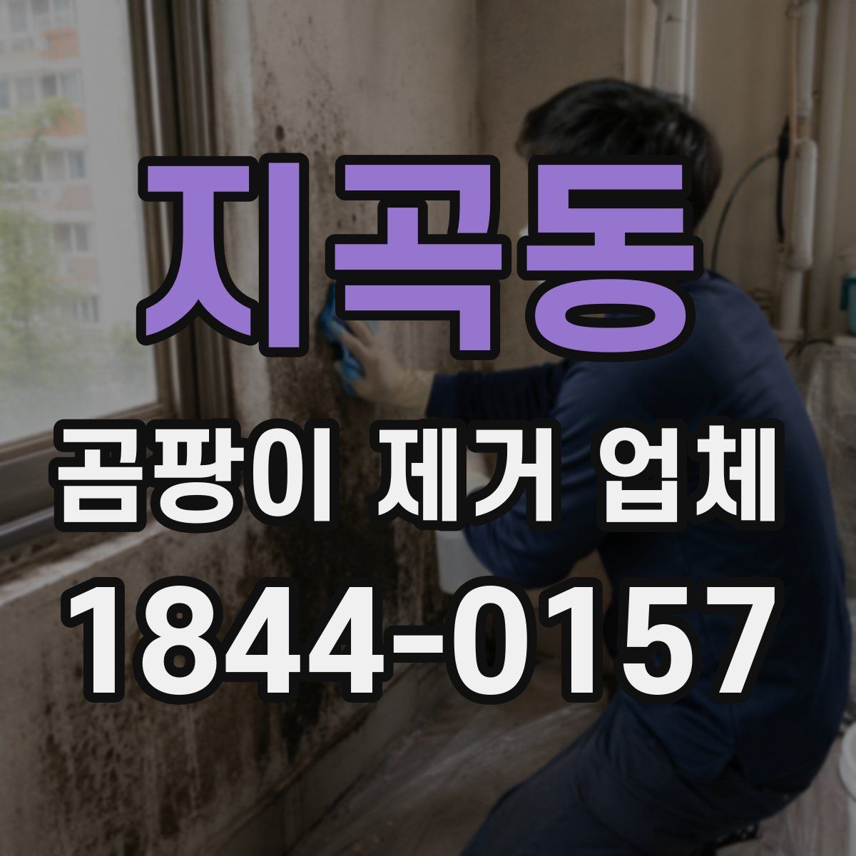 지곡동 곰팡이 제거 업체