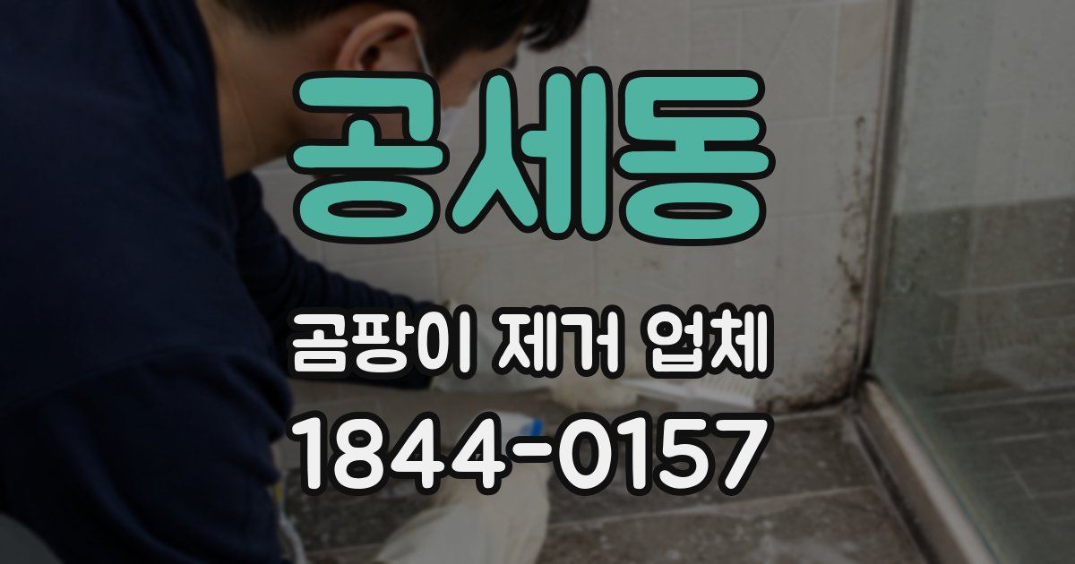 공세동 곰팡이 제거 업체