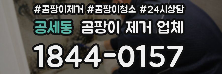 공세동 곰팡이 제거 업체