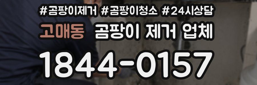 고매동 곰팡이 제거 업체