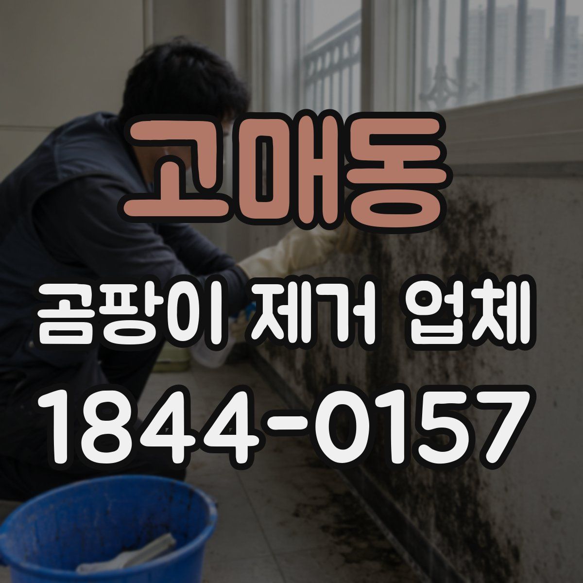 고매동 곰팡이 제거 업체