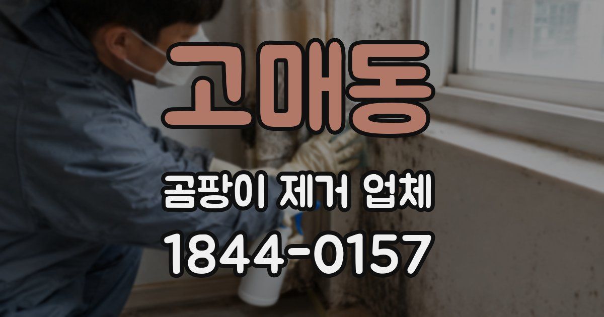고매동 곰팡이 제거 업체