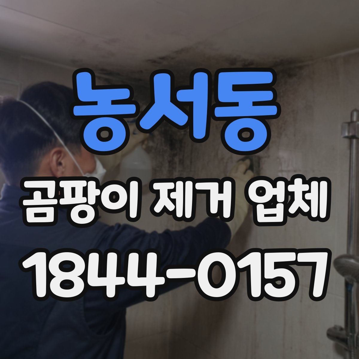 농서동 곰팡이 제거 업체