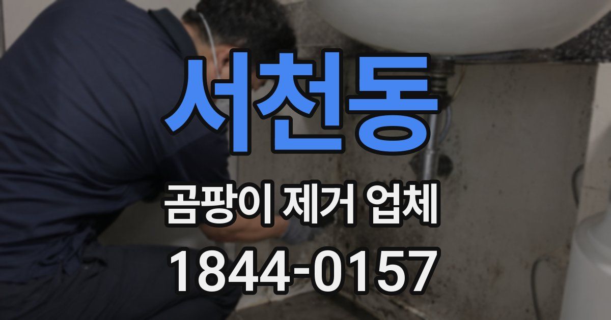 서천동 곰팡이 제거 업체