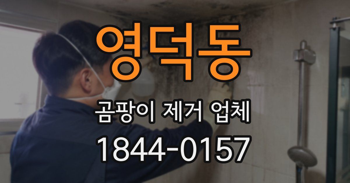 영덕동 곰팡이 제거 업체