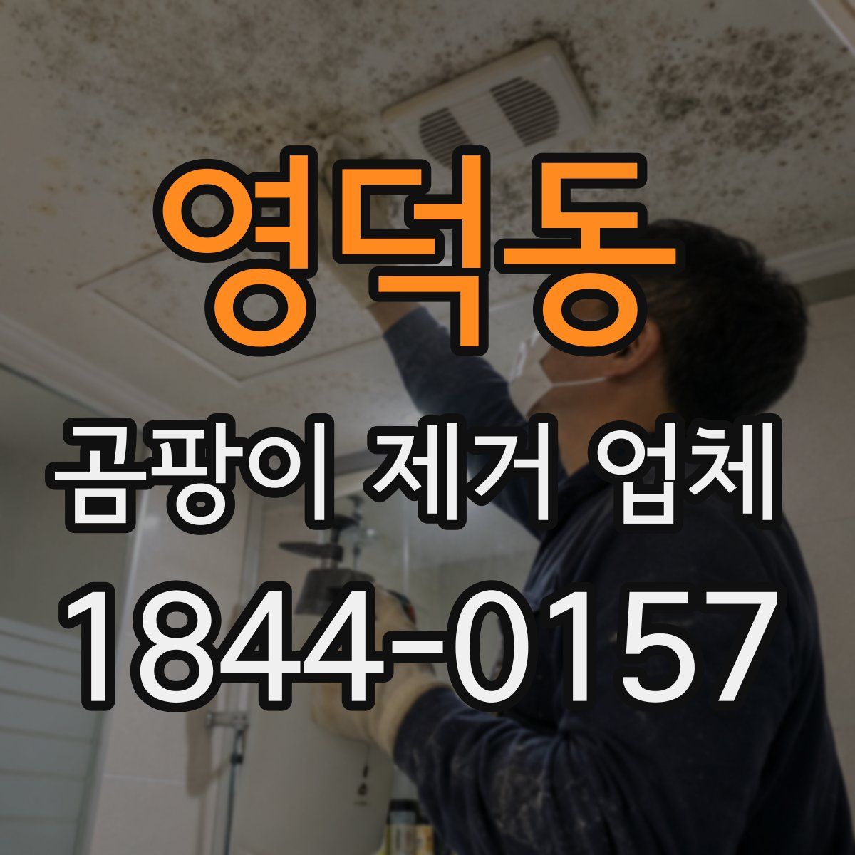 영덕동 곰팡이 제거 업체