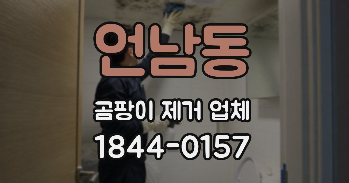 언남동 곰팡이 제거 업체