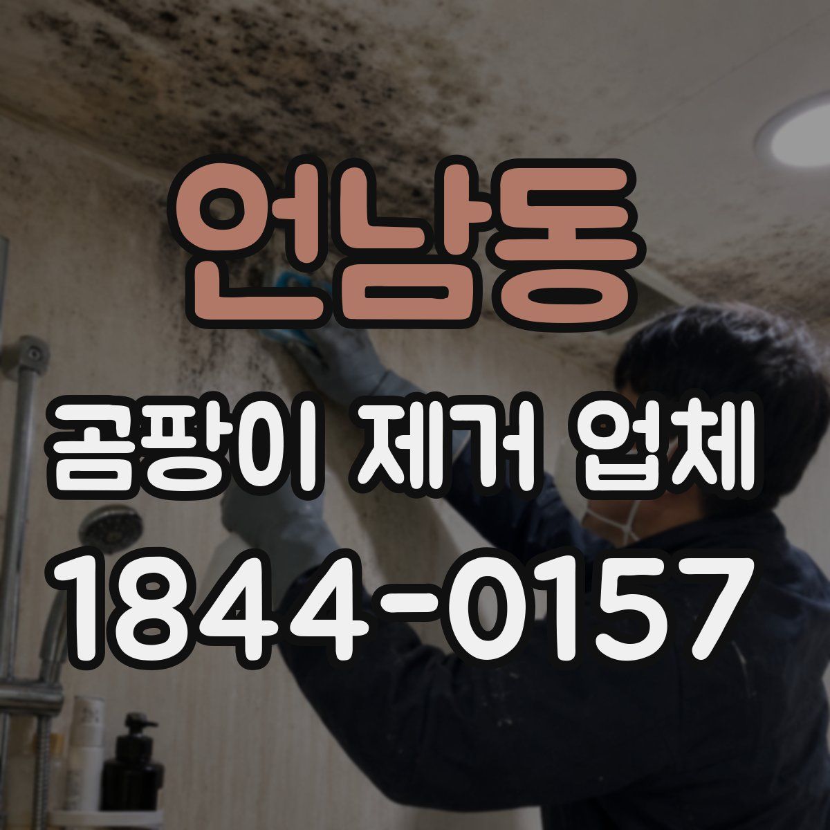 언남동 곰팡이 제거 업체