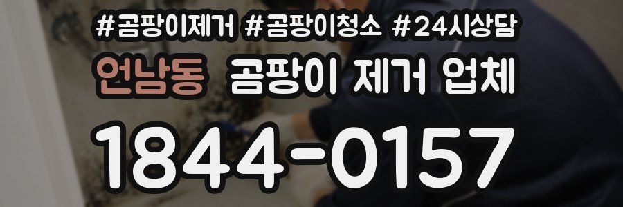 언남동 곰팡이 제거 업체