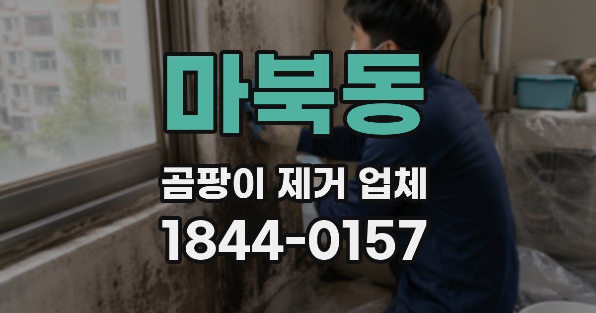 마북동 곰팡이 제거 업체