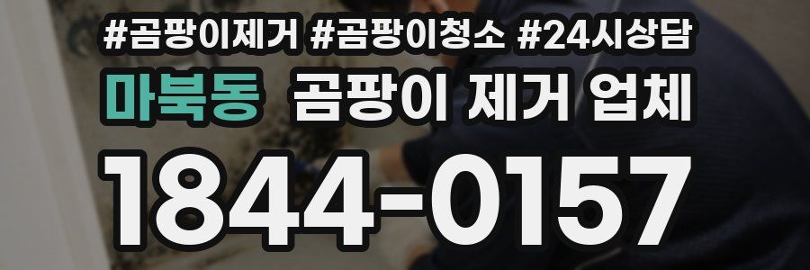 마북동 곰팡이 제거 업체