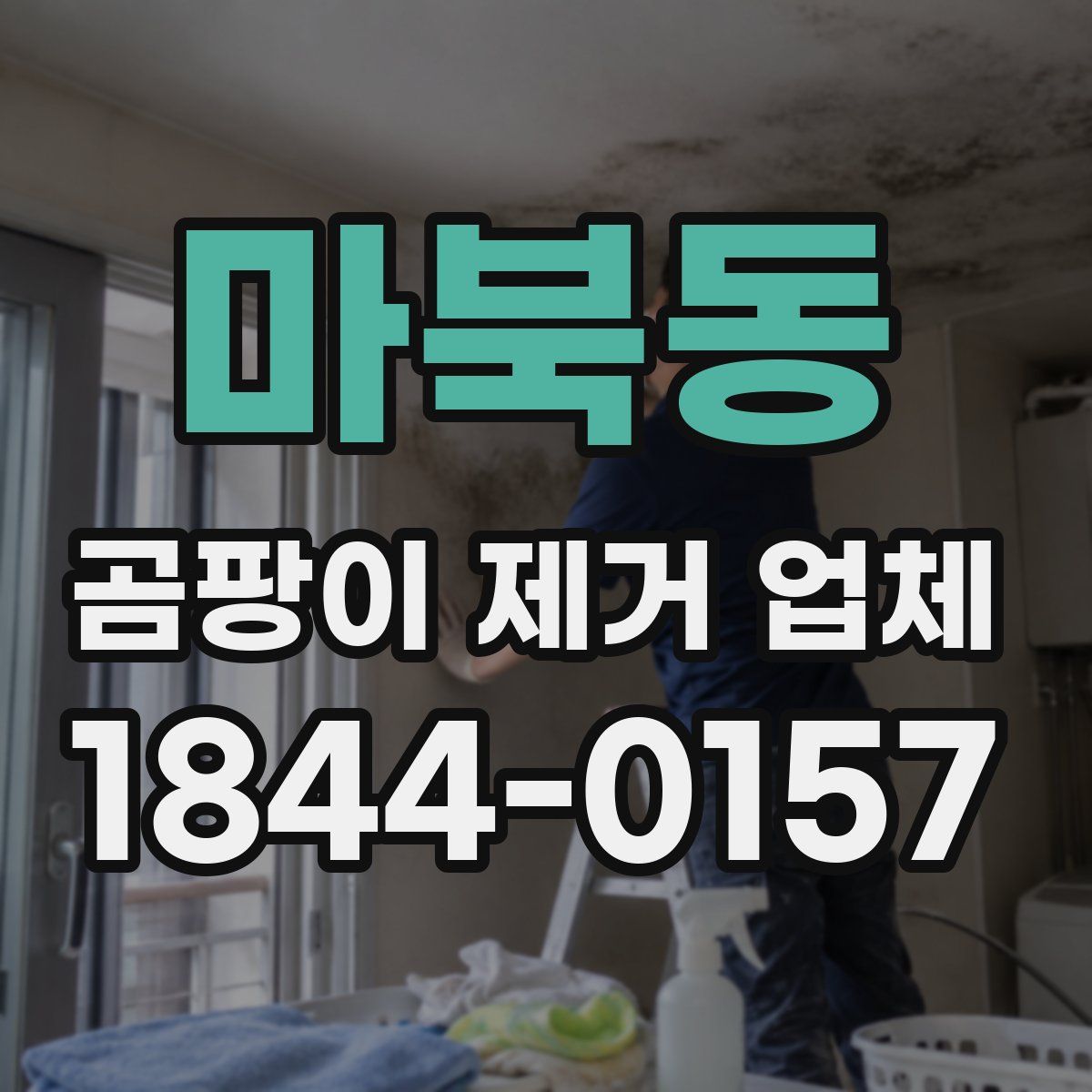 마북동 곰팡이 제거 업체
