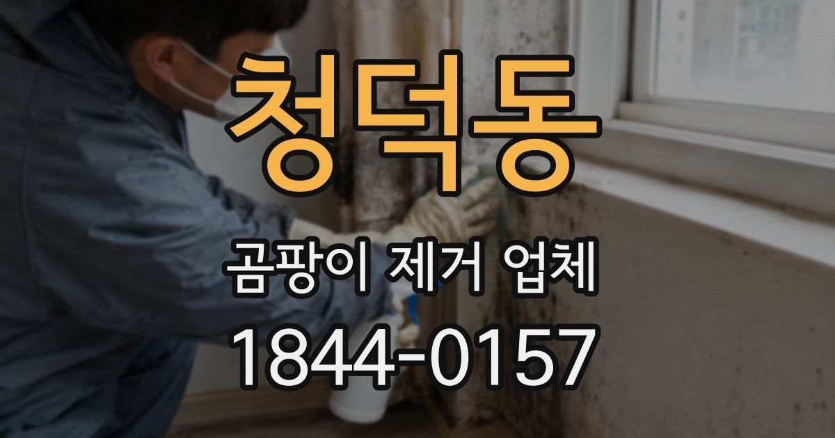 청덕동 곰팡이 제거 업체