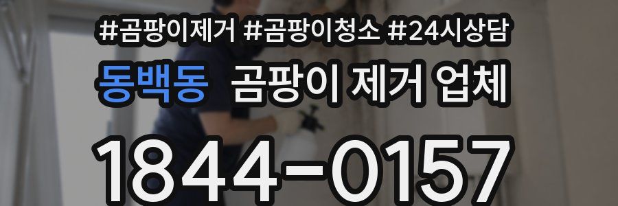 동백동 곰팡이 제거 업체