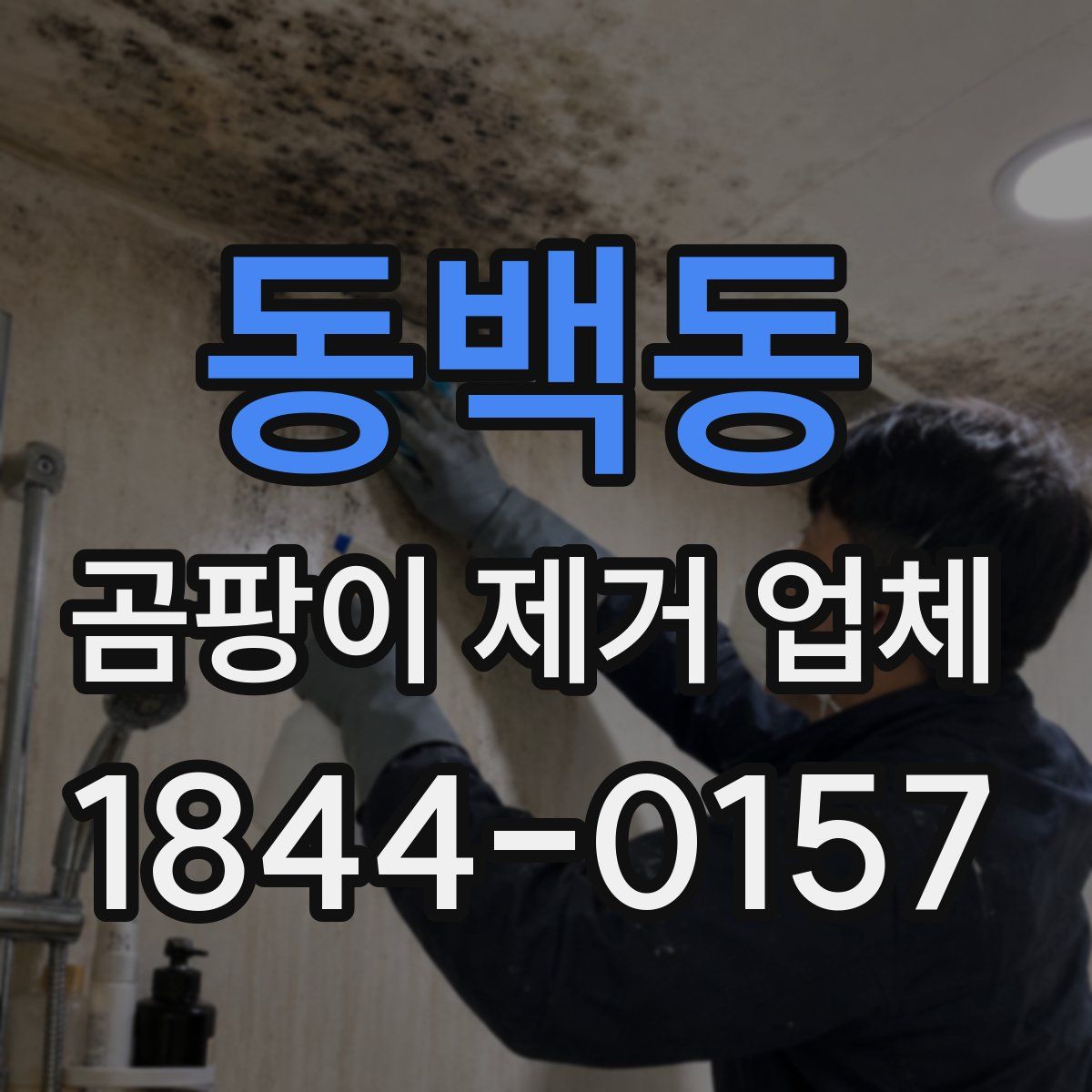 동백동 곰팡이 제거 업체