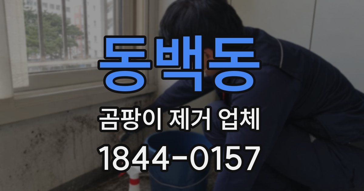 동백동 곰팡이 제거 업체