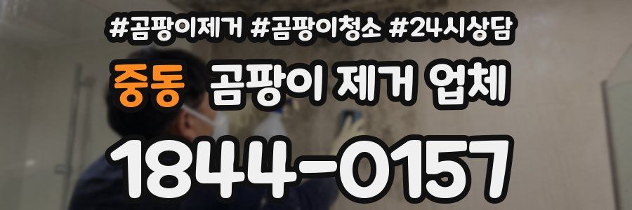 중동 곰팡이 제거 업체