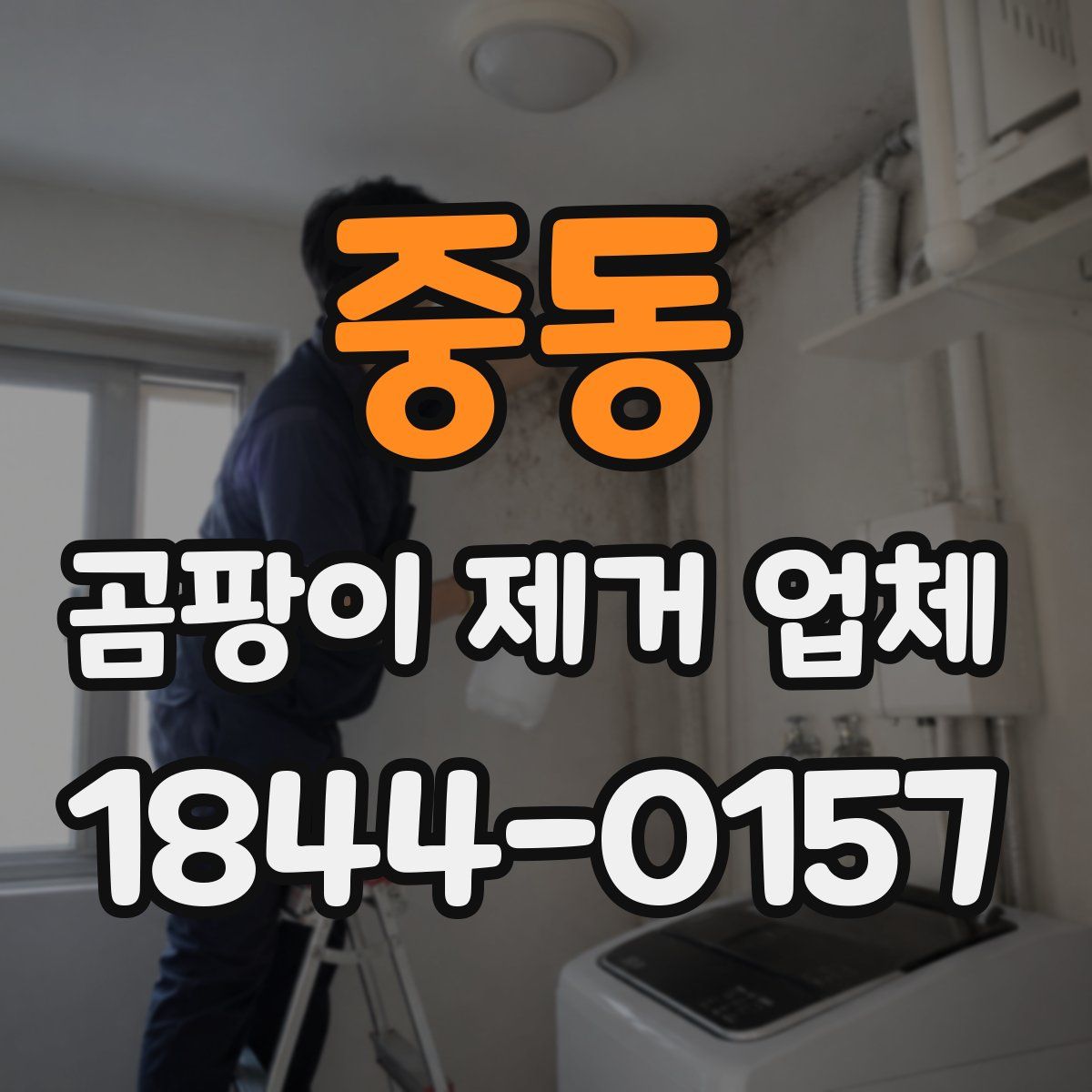 중동 곰팡이 제거 업체